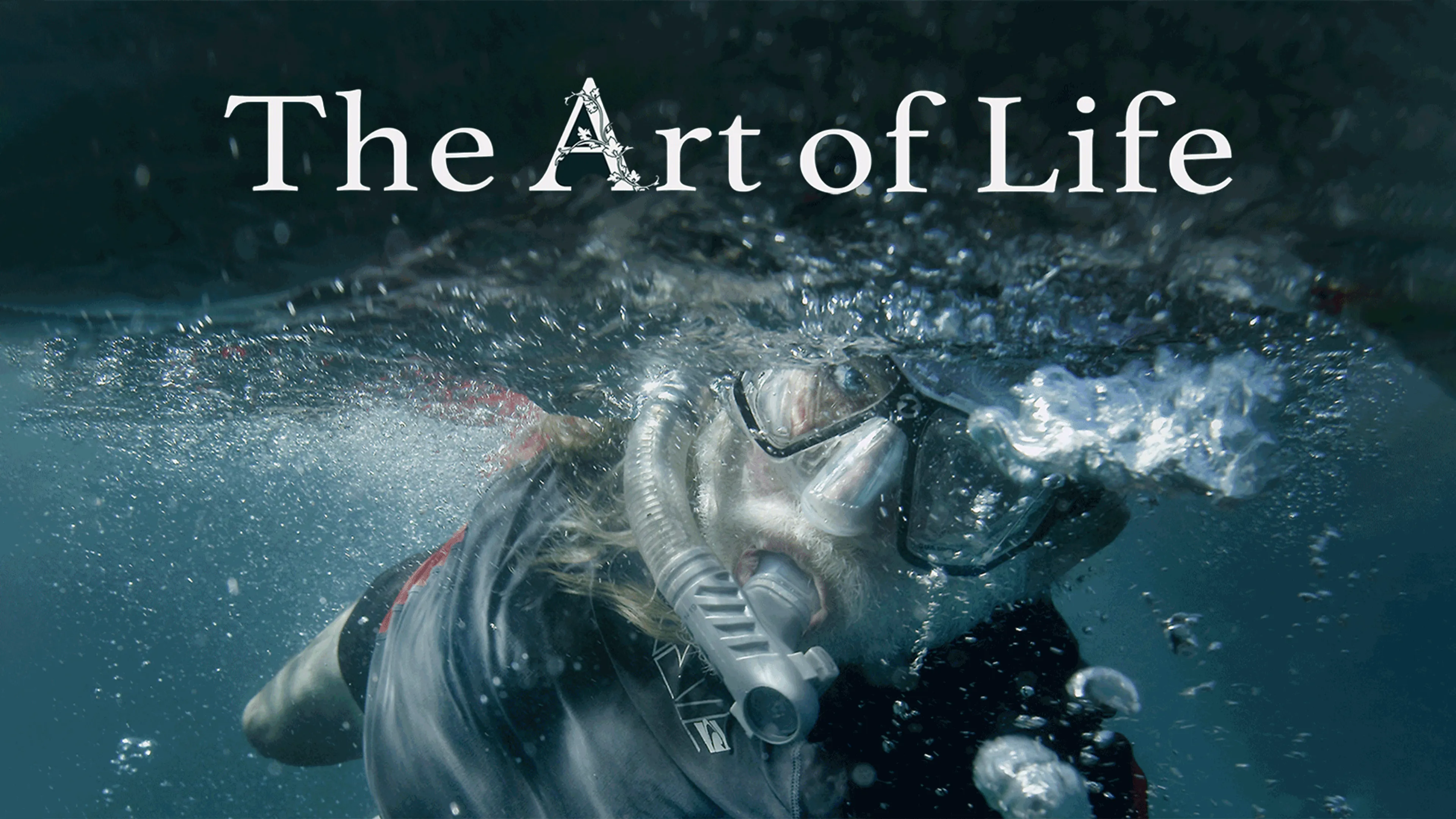 The Art of Life poster
